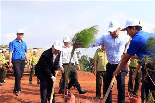 Tích cực trồng rừng, xây dựng tỉnh Đắk Nông phát triển toàn diện, bền vững