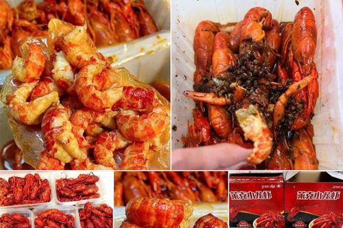 Tôm hùm đất gây hại nhập lậu bán tràn lan
