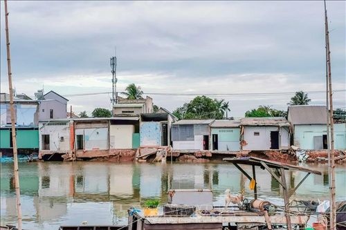 Cần Thơ xuất hiện nhiều điểm sạt lở bờ sông nghiêm trọng