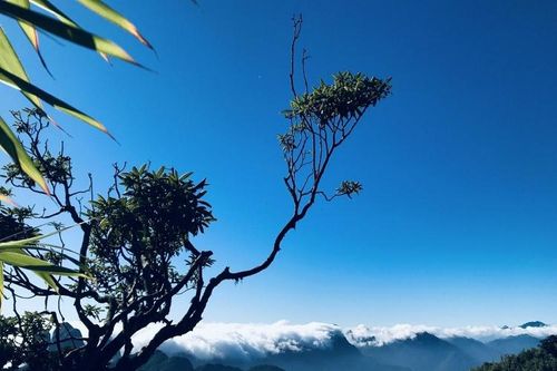 Hành trình lên đỉnh Tả Liên Sơn