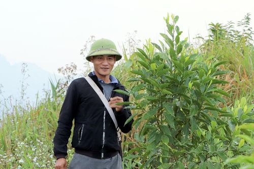 Hiệu quả chương trình giảm nghèo bền vững