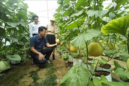 Mở lối tư duy kinh tế nông nghiệp - Bài 2: Bắt nhịp xu thế