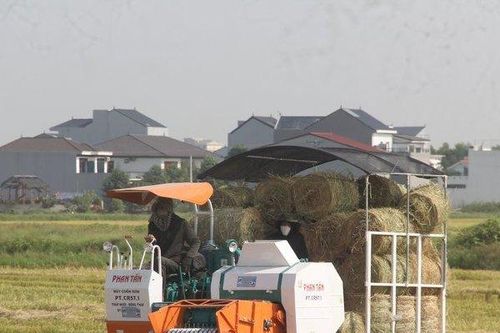 Vật vã gom rơm dưới nắng 40 độ C, nông dân bỏ túi hàng trăm triệu đồng