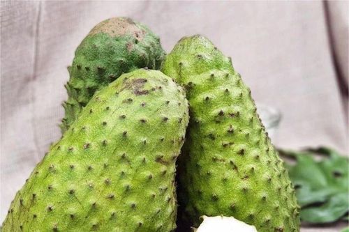 Giá mãng cầu gai tăng đột biến vì cơn sốt ''trà mãng cầu''