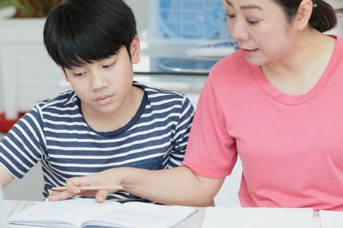 Con ôn thi vào lớp 6, mẹ cũng phải học bài