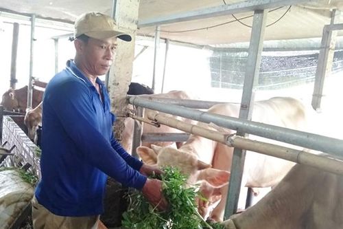 Quyết tâm từ bỏ ma túy, làm lại cuộc đời
