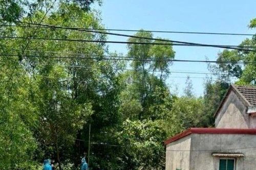 Xác định nguyên nhân cái chết của mẹ và con gái trong nhà