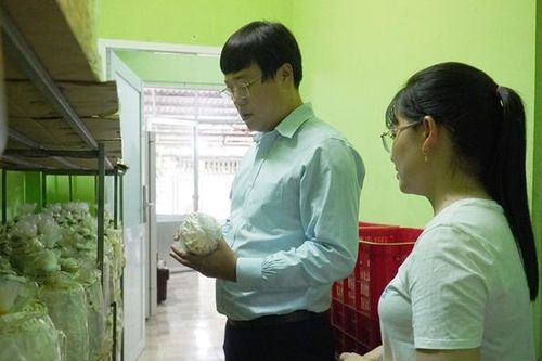 Bí thư Tỉnh ủy thăm mô hình trồng nấm linh chi tại TP Cao Lãnh