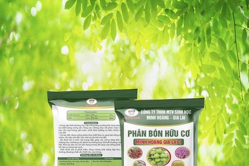 Minh Hoàng Gia Lai: Phát triển nông nghiệp bền vững bằng các chế phẩm sinh học
