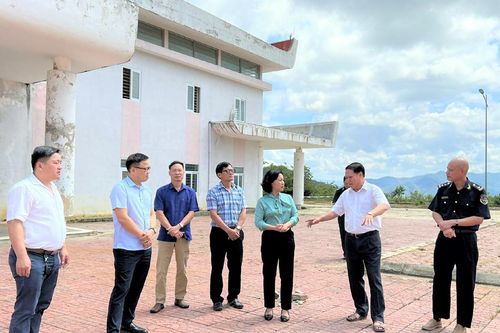 Điện Biên chia sẻ kinh nghiệm trồng cây mắc ca
