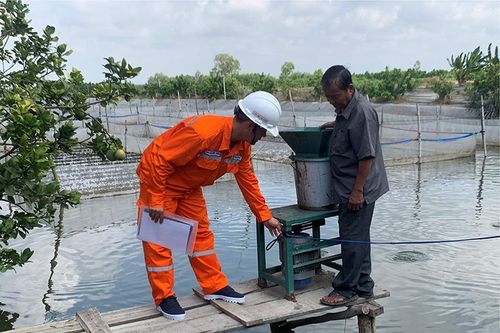 An toàn sử dụng điện trong nông nghiệp và cơ sở sản xuất, kinh doanh