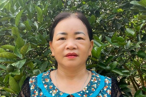 Làm giàu từ trồng cam, nuôi gà
