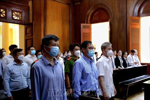 Cựu Tổng Giám đốc CNS Chu Tiến Dũng bị tuyên ân 5 năm tù