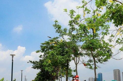 Đường ven hồ Tây thay áo mới