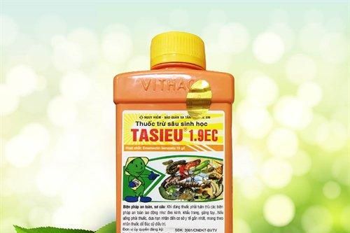 Bình Thuận: Dùng thuốc trừ sâu đầu độc cả gia đình vì bị cấm yêu đương