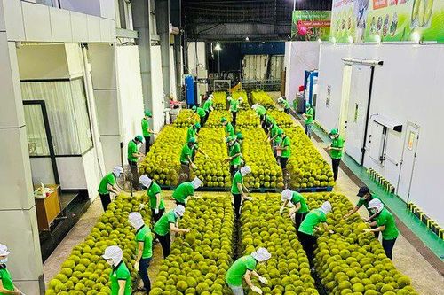 Kết nối doanh nghiệp nông lâm thủy sản Việt Nam – Trung Quốc