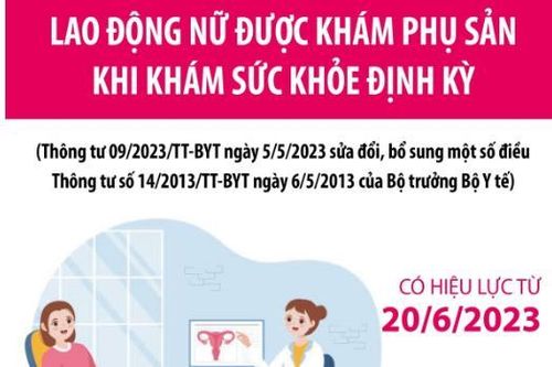 Từ 20/6/2023, lao động nữ được khám phụ sản khi khám sức khỏe định kỳ