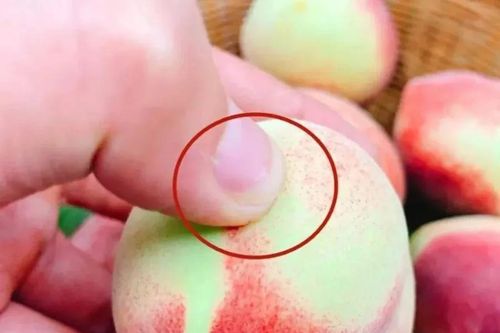 Cách chọn đào ngon, mọng nước giòn ngọt, người bán không bao giờ tiết lộ