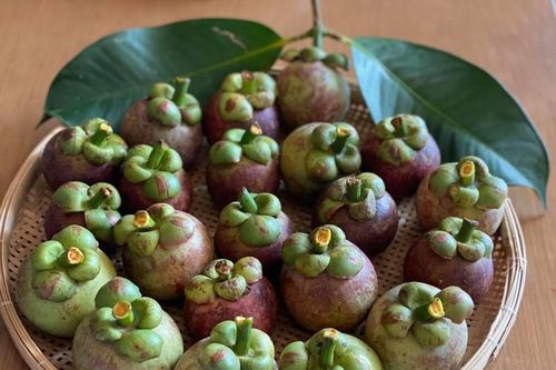 Măng cụt xanh có thể gây độc…là từ thành phần nào?
