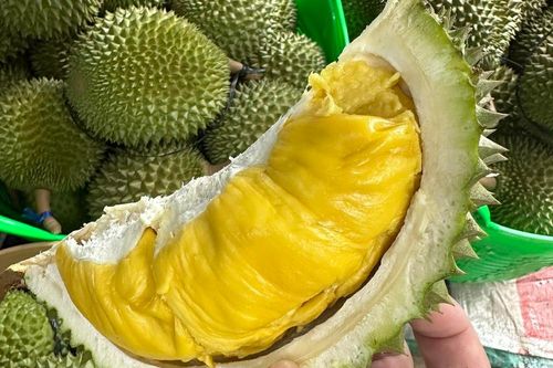 Thị trường sôi động, giá lúa hè thu neo cao; Sầu riêng Musang King rớt hơn một nửa giá