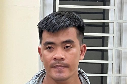 Triệt phá đường dây mua bán, vận chuyển 17.000 viên ma túy tổng hợp