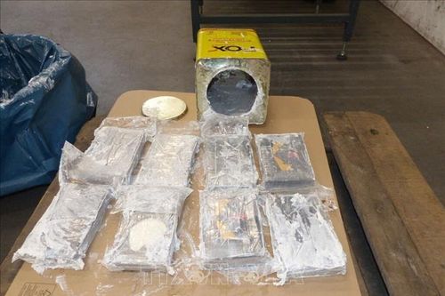 Hy Lạp: Phát hiện cocaine trong container chuối