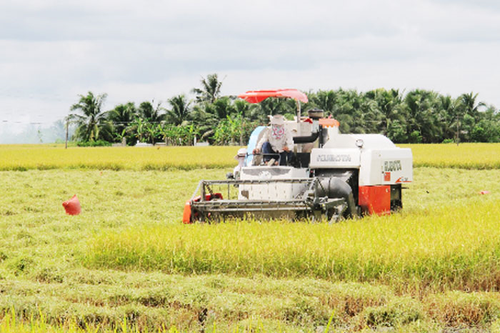 Đồng Nai: Đột phá phát triển nông nghiệp hữu cơ