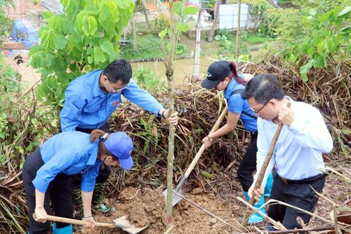 Hưởng ứng Ngày môi trường thế giới và Ngày Đại dương thế giới
