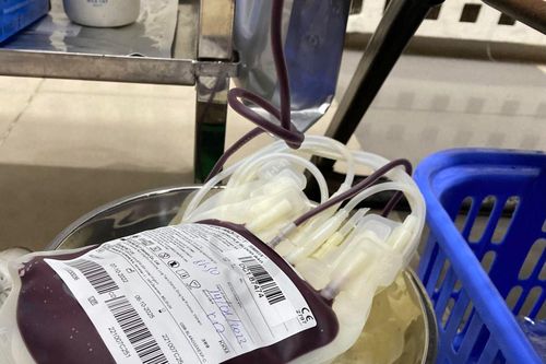 Khẩn trương hỗ trợ nguồn máu điều trị cho Cần Thơ