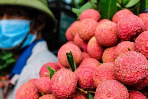 Thông đường cho nông sản Việt Nam xuất khẩu sang Trung Quốc