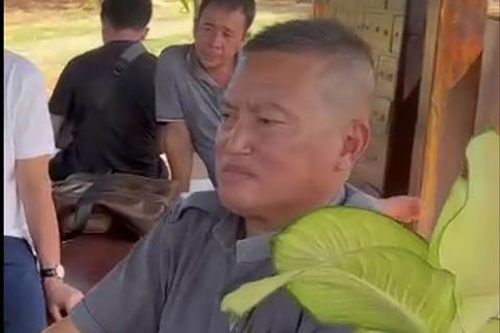 Thảo 'lụi' bị bắt khi đang lẩn trốn tại TPHCM