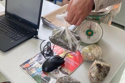 Vây bắt nghi phạm mua bán hơn một kg thuốc phiện
