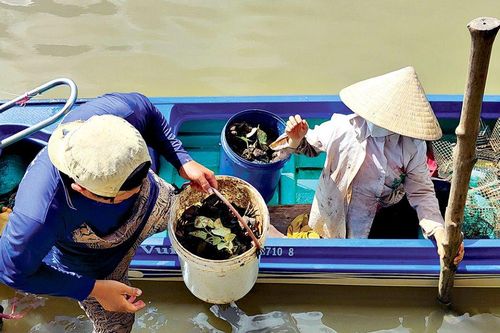 Chù ụ rừng xuất ngoại