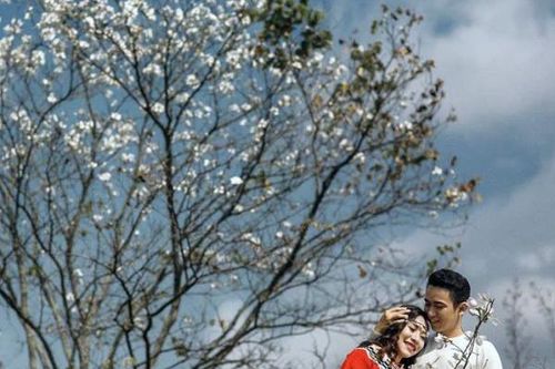 Tìm em - trong tình yêu đất nước!