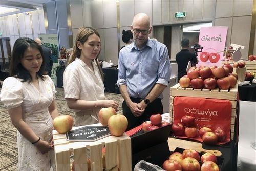 New Zealand khởi động chiến dịch bán lẻ 'Made With Care' tại Việt Nam