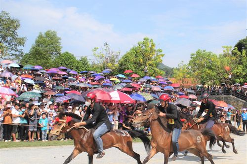 Sôi động chung kết đua ngựa truyền thống huyện Bắc Hà lần thứ 16