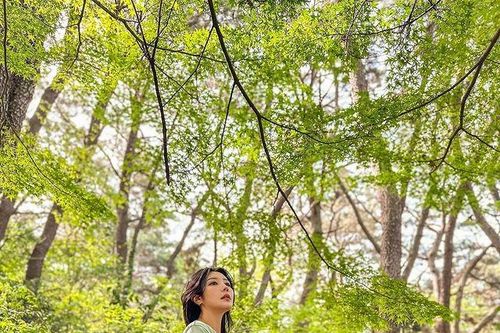 'Cô giáo đẹp nhất Hàn Quốc' ngày ấy giờ ra sao?
