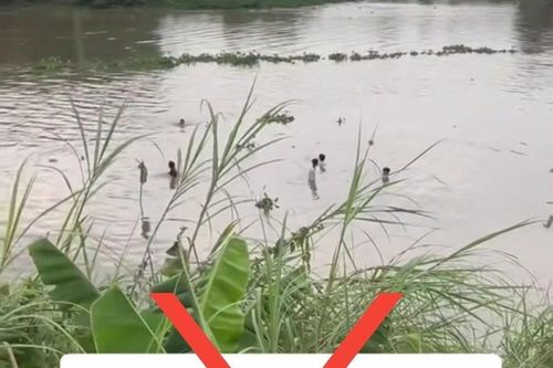 Đồng Tháp: Không có vụ việc 'đi tắm sông 7, về thì 3, còn 4 mất tích'
