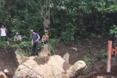 Xôn xao thông tin người dân đào được tảng đá hình con rùa: Chính quyền xã nói gì?