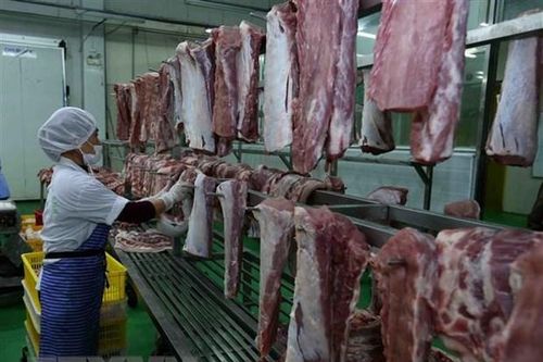 Hà Nội: Giám sát chặt các cơ sở giết mổ gia súc gia cầm