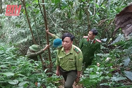 Bấp bênh nghề giữ rừng (Bài cuối): Khoảng trống mênh mông