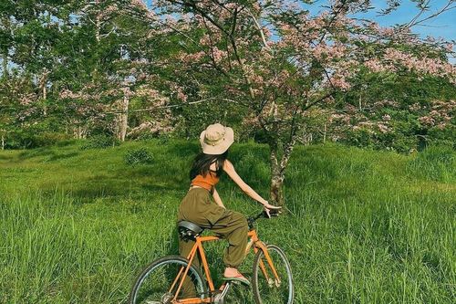 Trốn khói bụi tại Vườn quốc gia Cát Tiên
