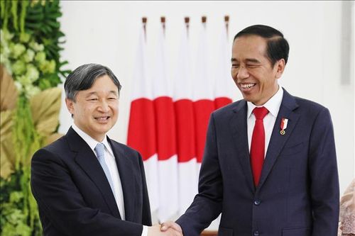 Indonesia khẳng định vun đắp tình hữu nghị với Nhật Bản