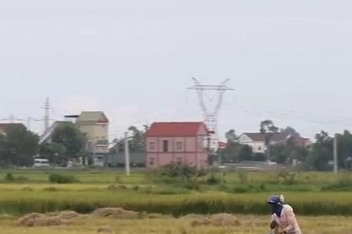 Độc đáo nghề săn 'tôm bay' giữa ngày nắng nóng