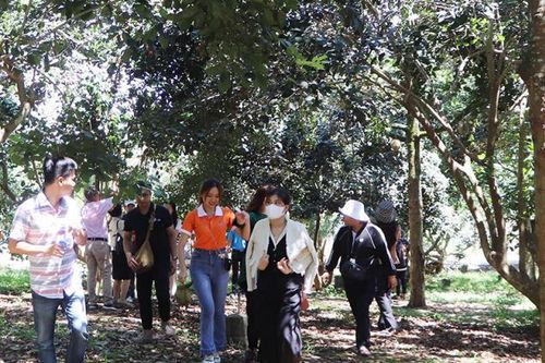 Đồng Nai tổ chức tour khảo sát kết hợp tọa đàm phát triển du lịch năm 2023