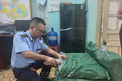 Lạng Sơn: Thu giữ 200 kg đuôi bò nghi nhập lậu