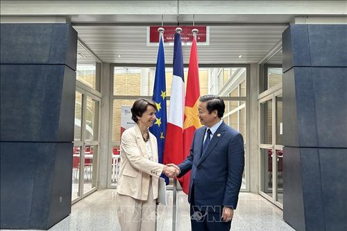 Phó Thủ tướng Trần Hồng Hà làm việc với Phó Tổng Giám đốc Cơ quan Phát triển Pháp
