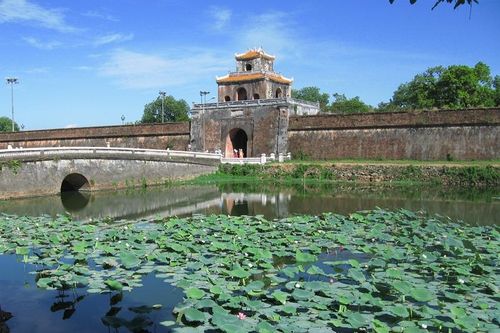 Sự trở lại của sen