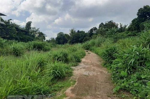 Lấy đất thuê của Nhà nước bán cho cá nhân, thu lợi 1,5 tỷ đồng