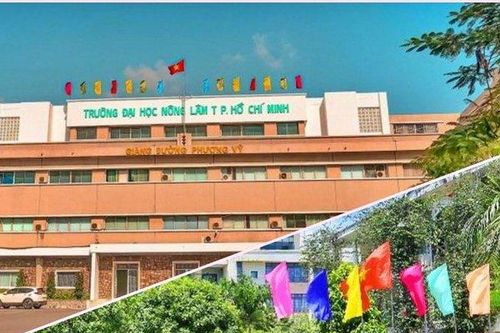 Bị phạt về chỉ tiêu tuyển sinh từ Bộ GD&ĐT, 2 trường đại học nói gì?